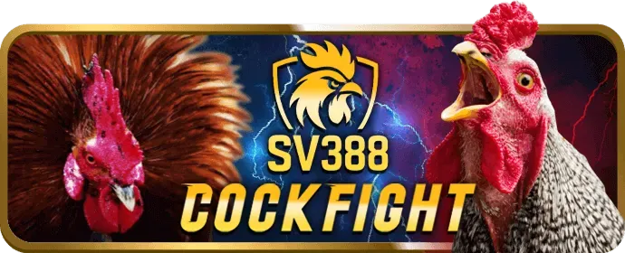 Minh họa các loại tiền thưởng Unibet